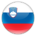 Language link - Slovenian